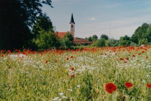 GM292-02 Eselgrundstück 1987 (Large)
