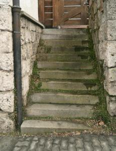 GM682-51 Hochwimmer Aufgang 2018 (Large)