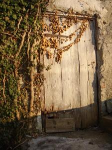 GN214-09 Wäsler Nebentürl 2006 (Large)