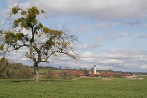 uFr00-08 Frauenreuth v Süd 2017 (Large)