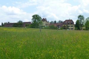 uZi74-08 Sonnenhsn v Nord 2017 (Large)