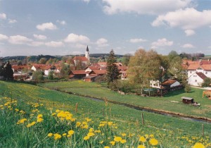 k-Gl150-24 v Pelzg 1999