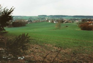 k-Gl310-08 v Strass 1995