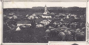 k-Gl325-12 v Bern Feld