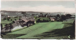 k-Gl520-04 v FeldkStrWaldrd