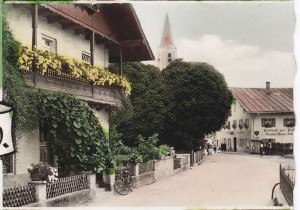 k-GM130-04 Straußh v Winh