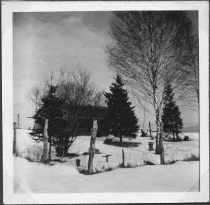 k-GM252-04 damals Bienenhaus ~1960