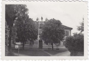 k-GM716-04 Pfingstlümmel