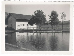 k-GS646-04 Schwimmbd Wiesm