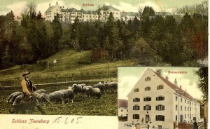 k-uZi00-16 Zinn v Gl u Schafe ~1905