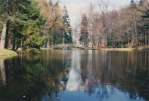 k-uZi52-28 Zinn Weiher 1999