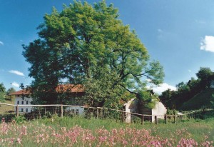 k-GW552-12 Steinmühle 1999