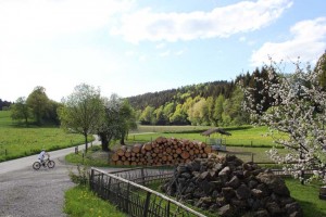 Reisenthal - Balkham-s 