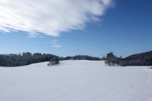 Reisenthal Winter-s 