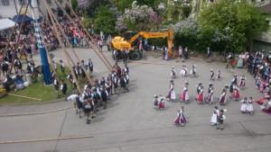 Maibaum 2018 Oswald (1) (Large)