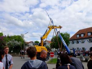 Maibaum Glonn 2018 (11) (Large)