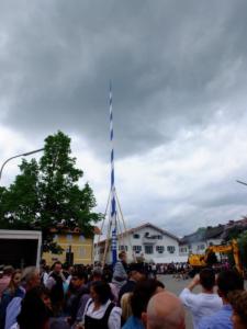 Maibaum Glonn 2018 (27) (Large)