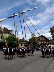Maibaum Glonn 2018 (6) (Large)