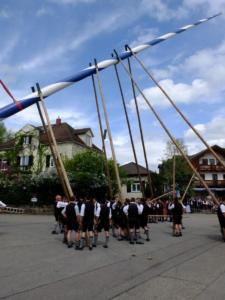 Maibaum Glonn 2018 (7) (Large)