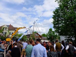 Maibaum Glonn 2018 (8) (Large)