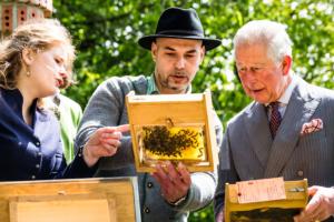 k-PrinzCharles_Herrmannsdorf_lowres (1)