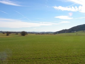 Brucker Moor       